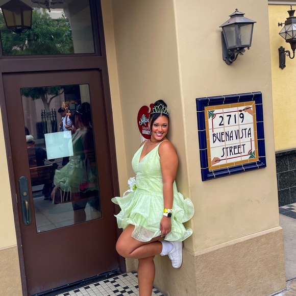 PRINCESS AND THR FROG INSPIRED DRESS - Picture 4 of 5